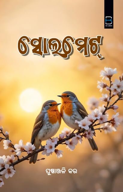 Soul Mate (A Collection of Short Stories) ସୋଲମେଟ୍‍ (ଗଳ୍ପ ସଙ୍କଳନ)